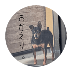 SAKURA_20230629124706