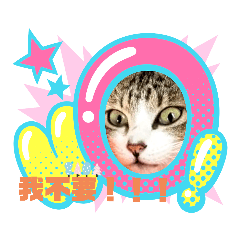 咪咪的日常生活ฅ⁠^⁠•⁠ﻌ⁠•⁠^⁠ฅ