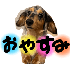 nao_20230629164049