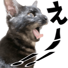 Cat animation Sticker Modified version