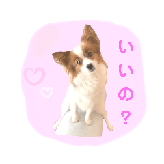 naopuri_20230630031551