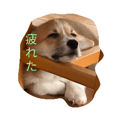 aoi_20230629213907