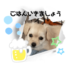 dognihiki