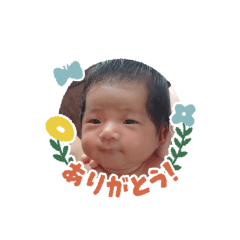 ima_20230629235843
