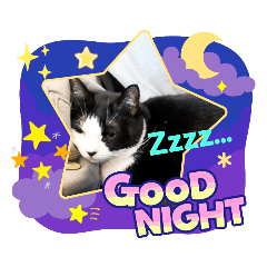 Heart goodnight OK LOVE GOOD CAT