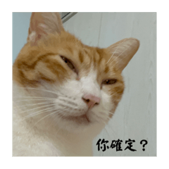 皮皮、咕唧、萌萌