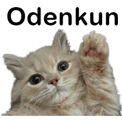 love odenkun