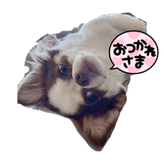 shiho_20230629203545