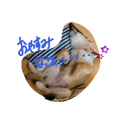 澪桜ちゃん☆スタンプ