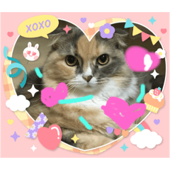 kaede_20230630171333