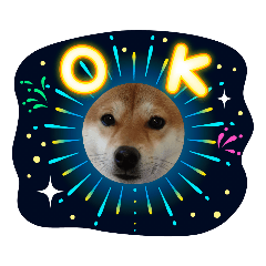 shibainu_20230629205432