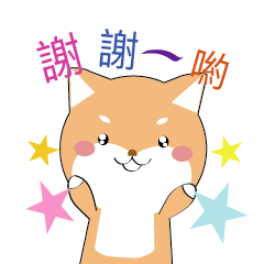 Shiba Inu Snow and Fumm - Fun Encourage
