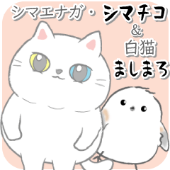 Shimaenaga and White cat(revised)
