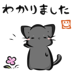 "kanji" black cat!