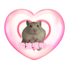 我是小花 小花是我