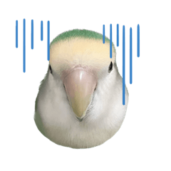 kana_20230701072150