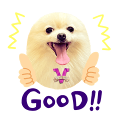 Cutie Pom Pao