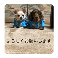nao_20230701094008