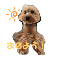 shiho_20230701084119