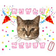 Asakura cat stamp.