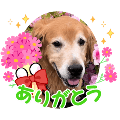 HANA_20230630205213