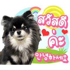 Hello my Name is lotto.