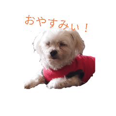 koto_20230630221704