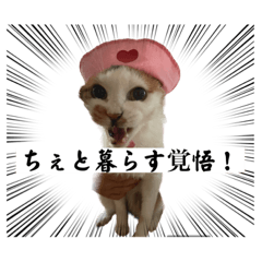kaede_20230630234745