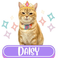 WOOFME WITH DAISY