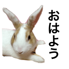 Ririka_20230701010020