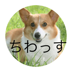 aoi_20230701133755