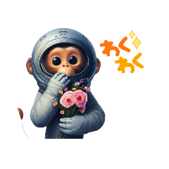 Space Monkeyjapan