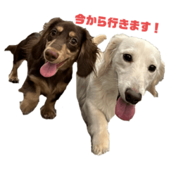 Chikuwakun_20230701142319