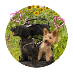 shiho_20230701150932