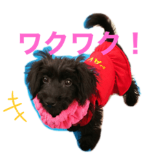 shiho_20230701155146