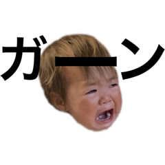 sakura_20230701124655