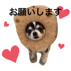 saori_20230701165026