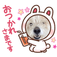 kaede_20230701172615