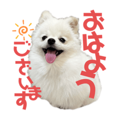 Natsumi_20230701182328