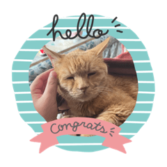 arisa_20230701195114