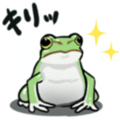 Two frogs diary