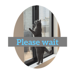 Shiho_20230701203923