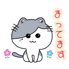 Satona_20230630153620