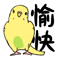 Two letters Budgerigar