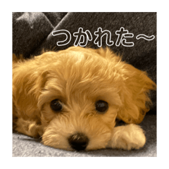 kaede_20230701212349