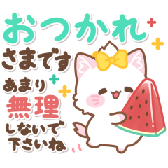 Summer sticker of Monica of the kitten
