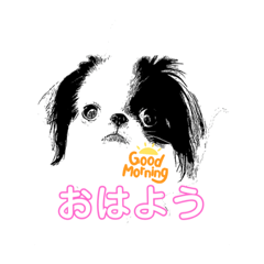 japanese chin 狆 (片奴) - LINE スタンプ | LINE STORE