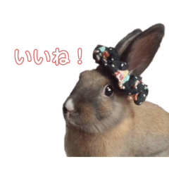 hana_20230701170640