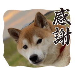kosuke_20230701222308