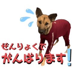 hana_20230702001910